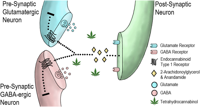 PMC6416743 – f0010