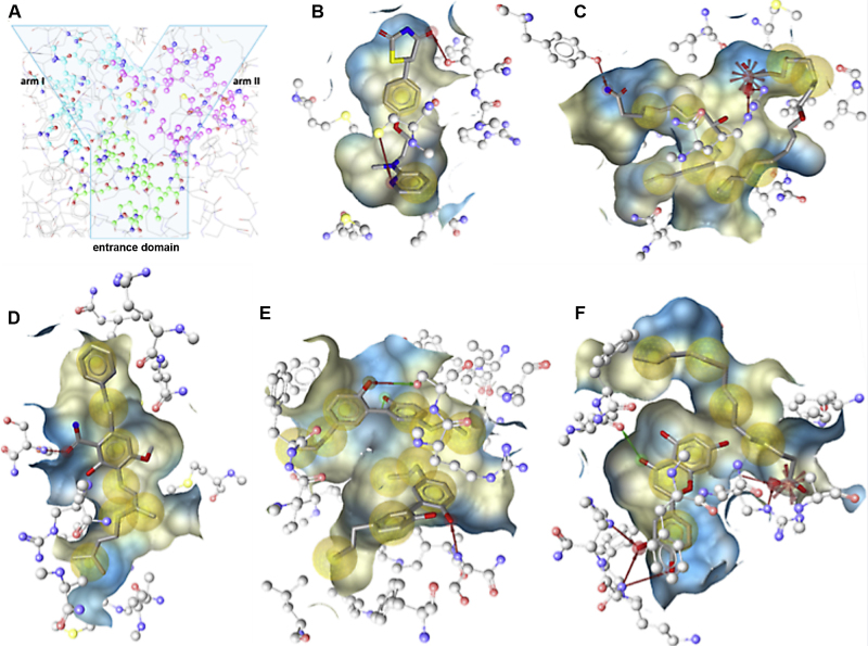 PMC4212005 – fig0010