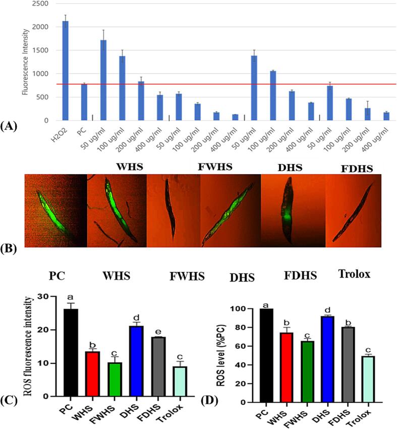 PMC10901904 – f0010