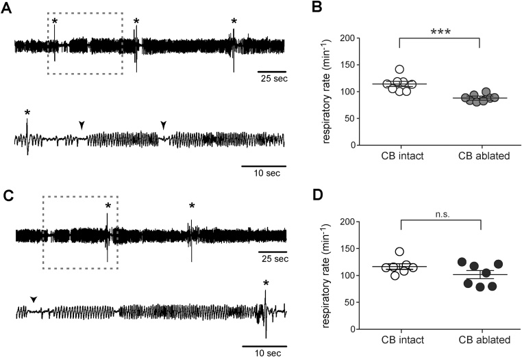 PMC5637156 – fig0010