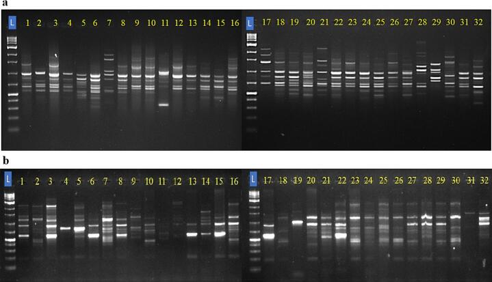 PMC11875165 – f0010
