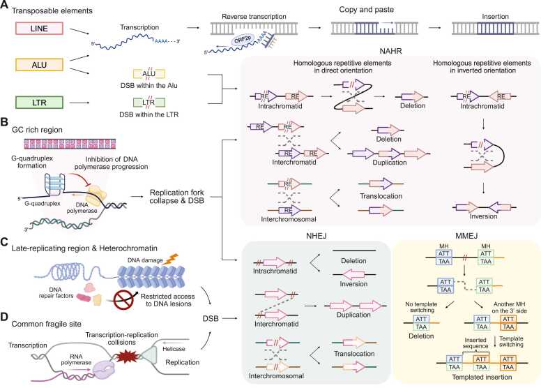 PMC12506512 – fig0010
