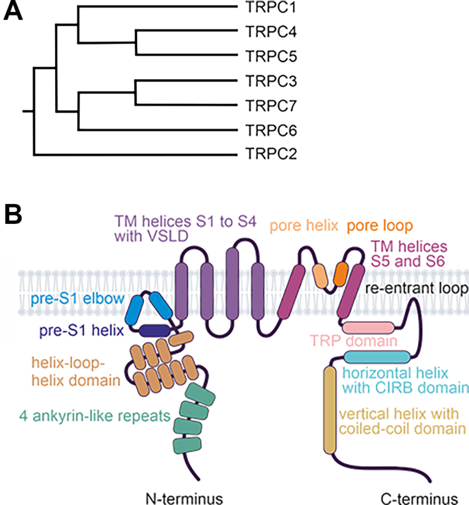 PMC12799467 – fig2