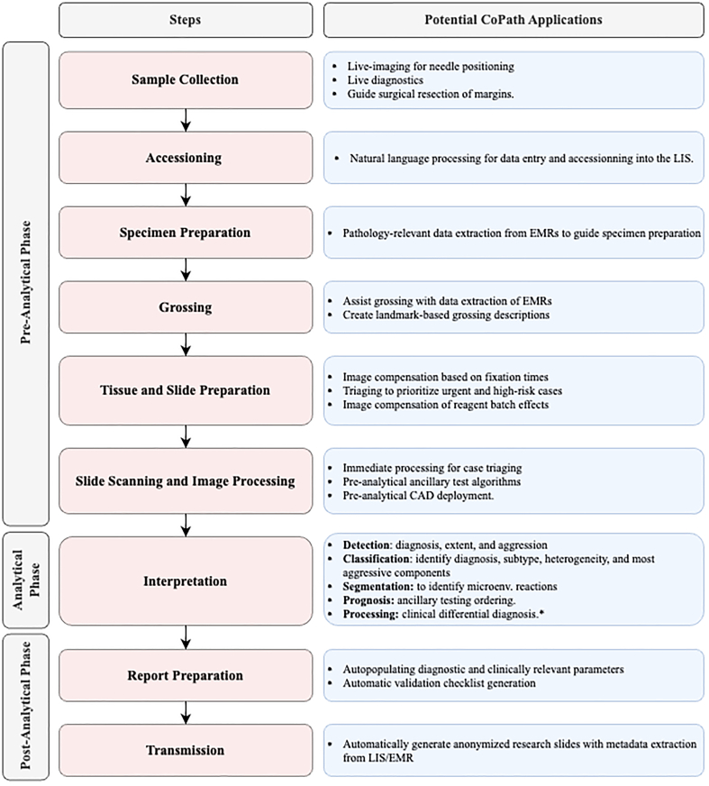 PMC10900832 – f0010