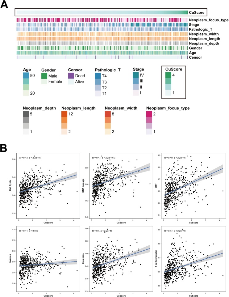 PMC11848474 – fig0010