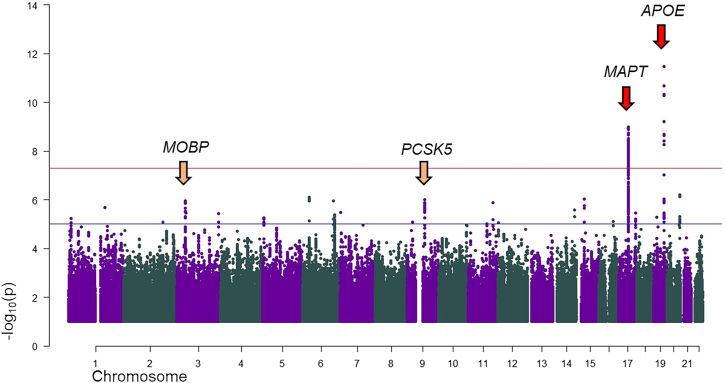 PMC11267522 – fig2