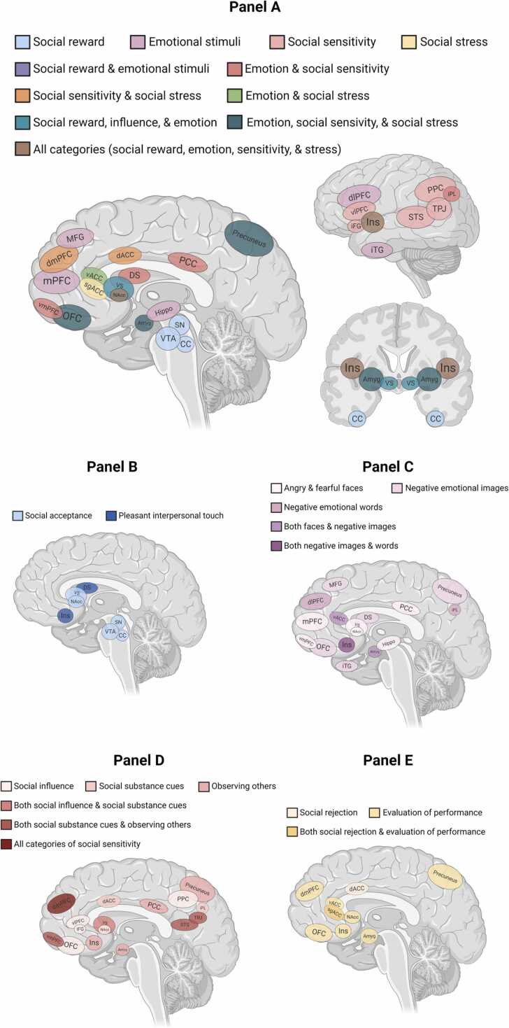 PMC9434028 – fig0010