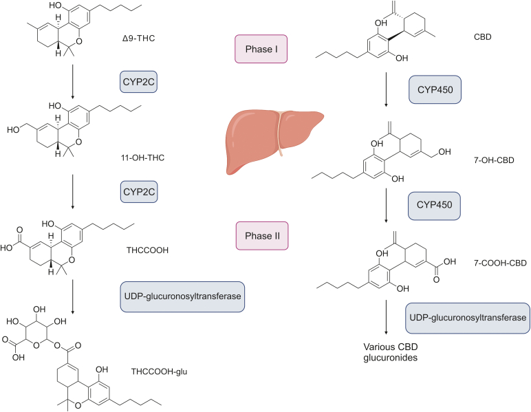 PMC10657972 – fig2