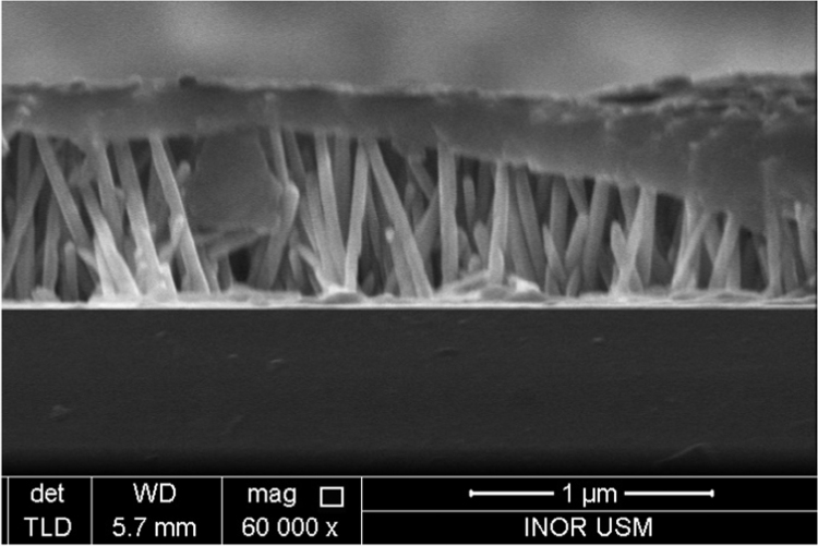 PMC5362154 – f0010