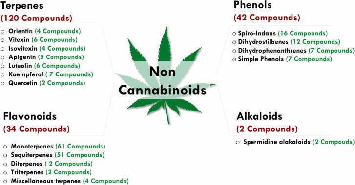 PMC11763173 – fig0010