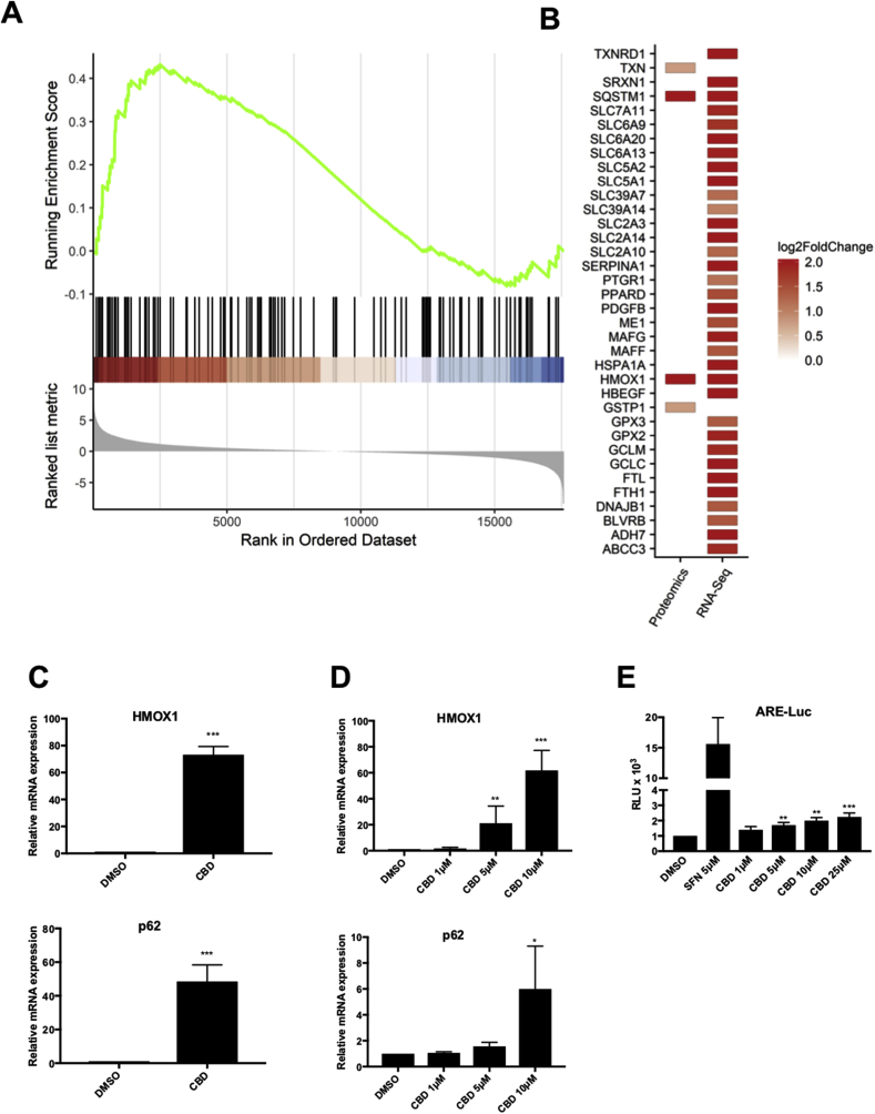 PMC6742916 – fig2