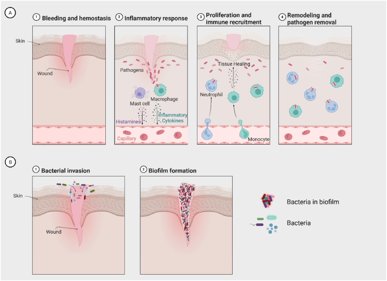 PMC12808496 – fig2