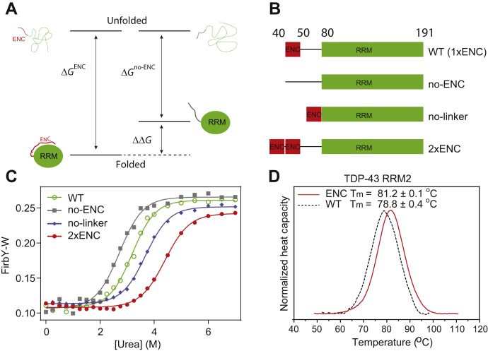 PMC8348266 – fig2