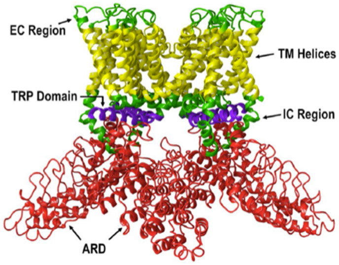 PMC10658372 – fig2