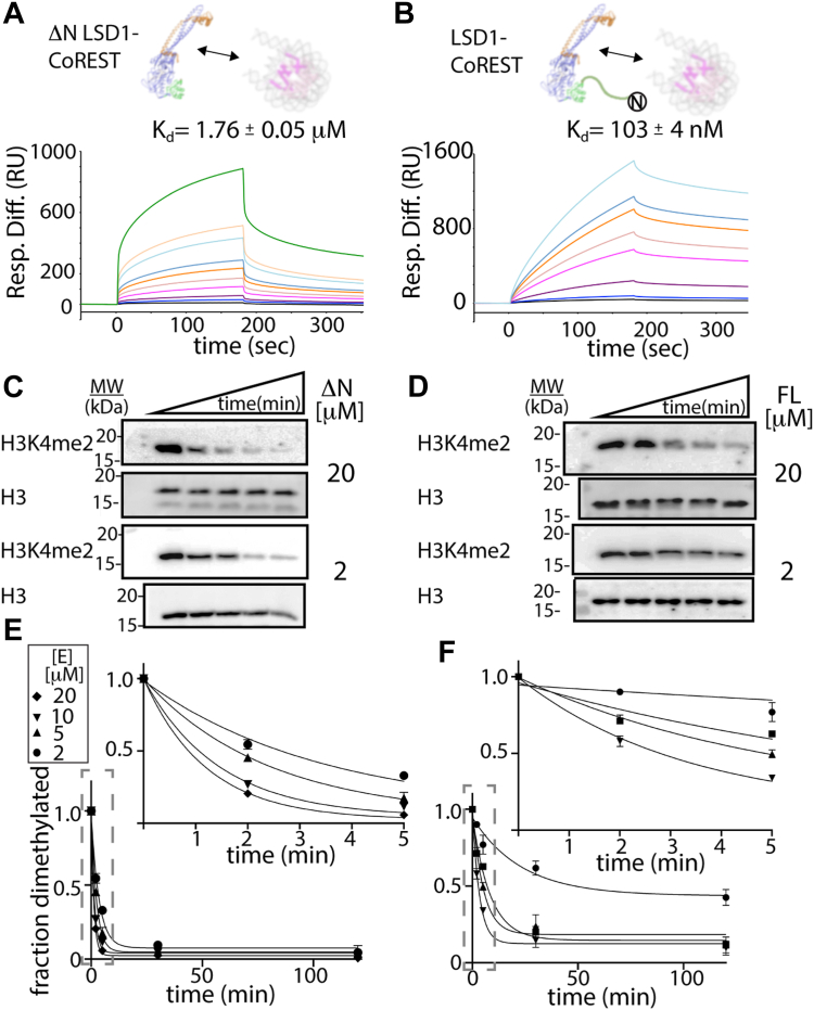 PMC11388019 – fig2