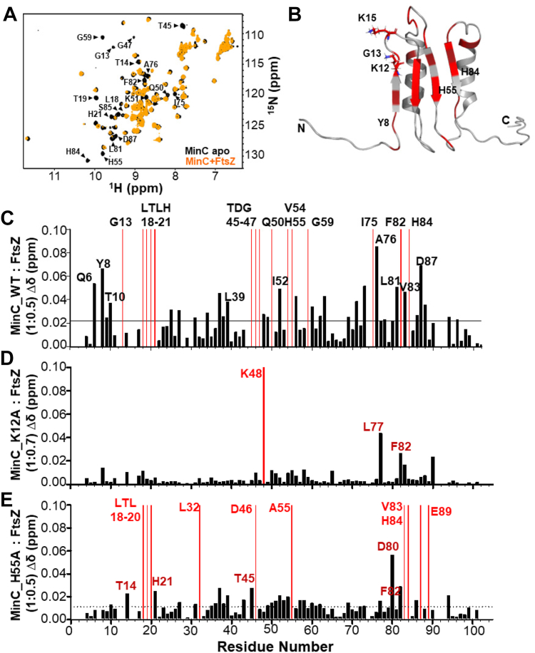 PMC11938149 – fig2