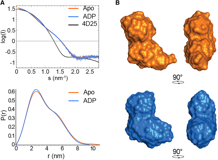 PMC11617632 – fig2