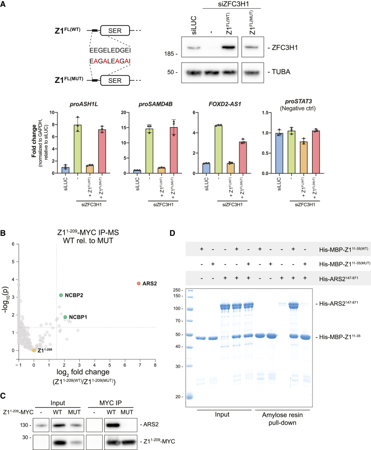 PMC10720265 – fig2