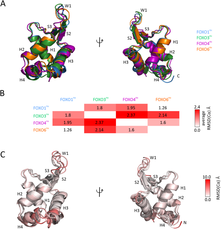PMC9097636 – fig2