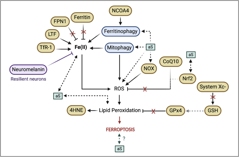 PMC11732237 – fig2