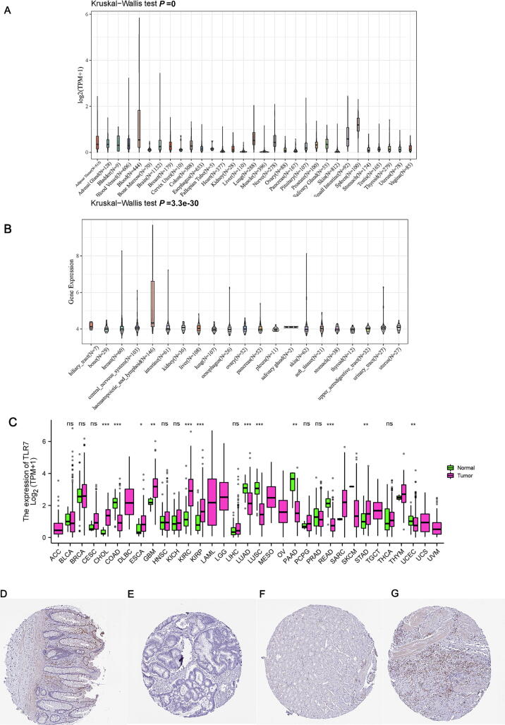 PMC10167782 – f0010