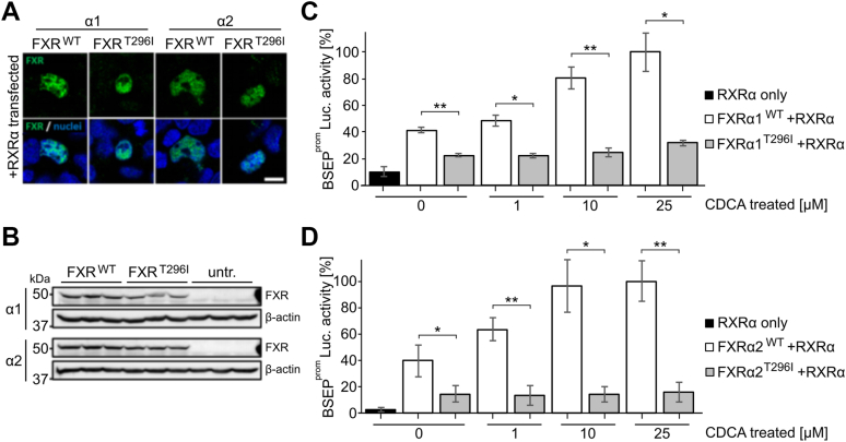 PMC12605006 – fig2