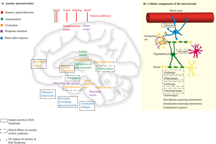 PMC12244188 – fig2