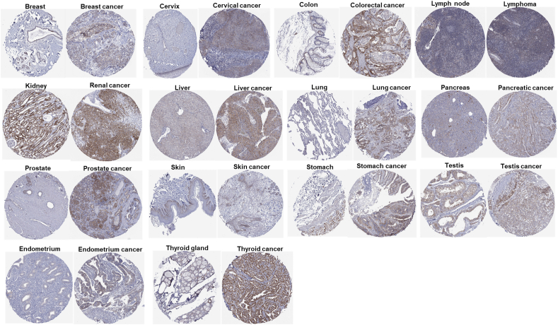 PMC12359157 – fig2