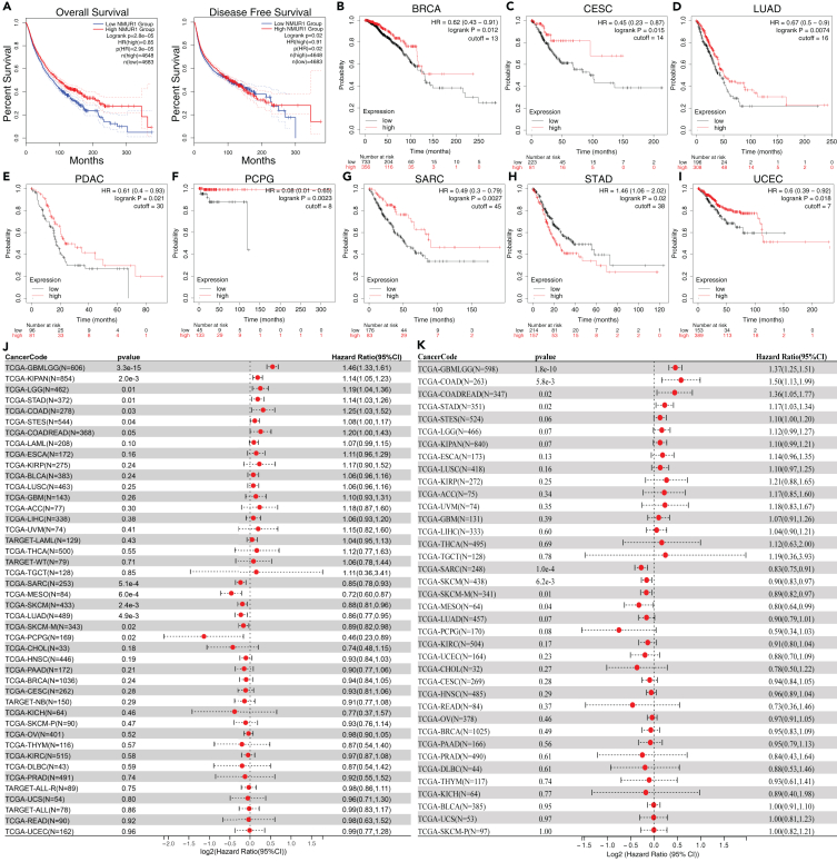 PMC11269305 – fig2