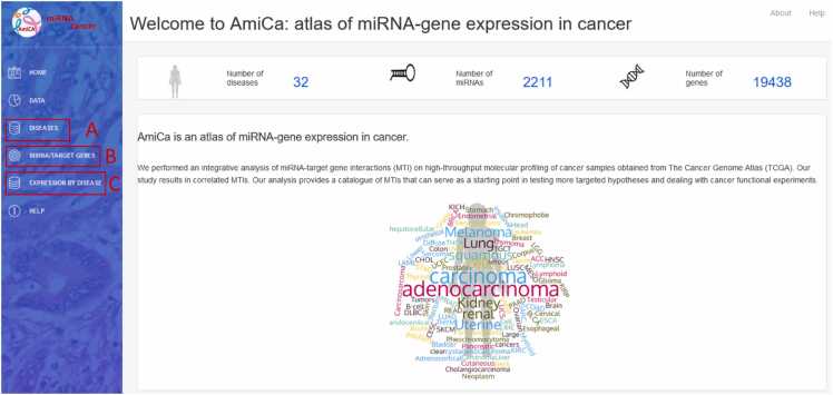 PMC11152612 – fig0010