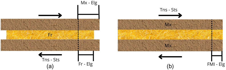 PMC11783020 – fig2