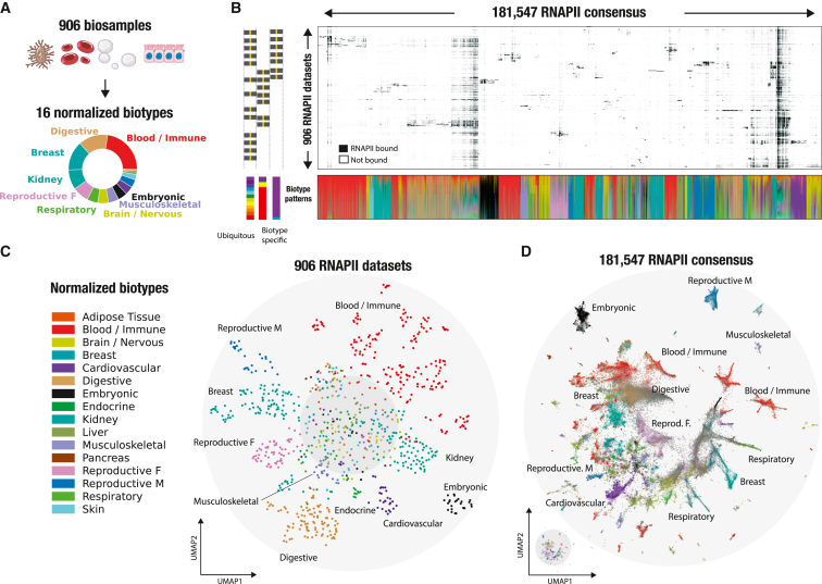 PMC10589727 – fig2