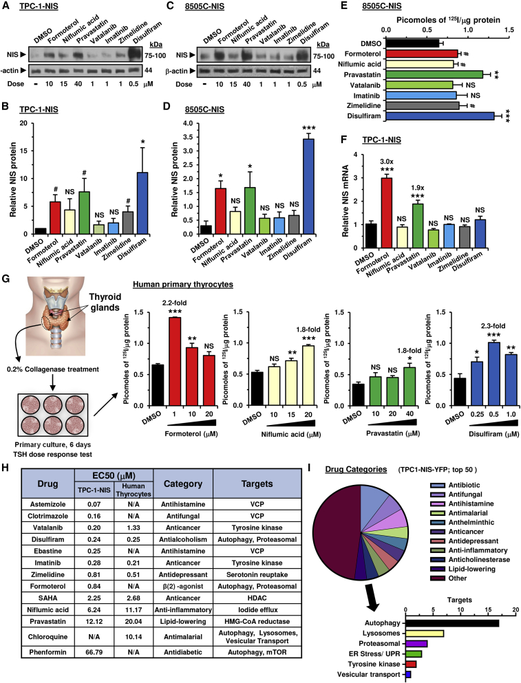 PMC8958605 – fig2