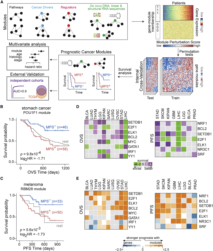 PMC10025453 – fig2