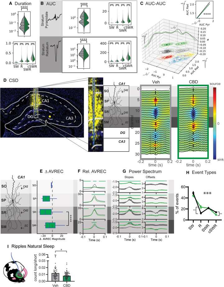 PMC11834075 – fig2