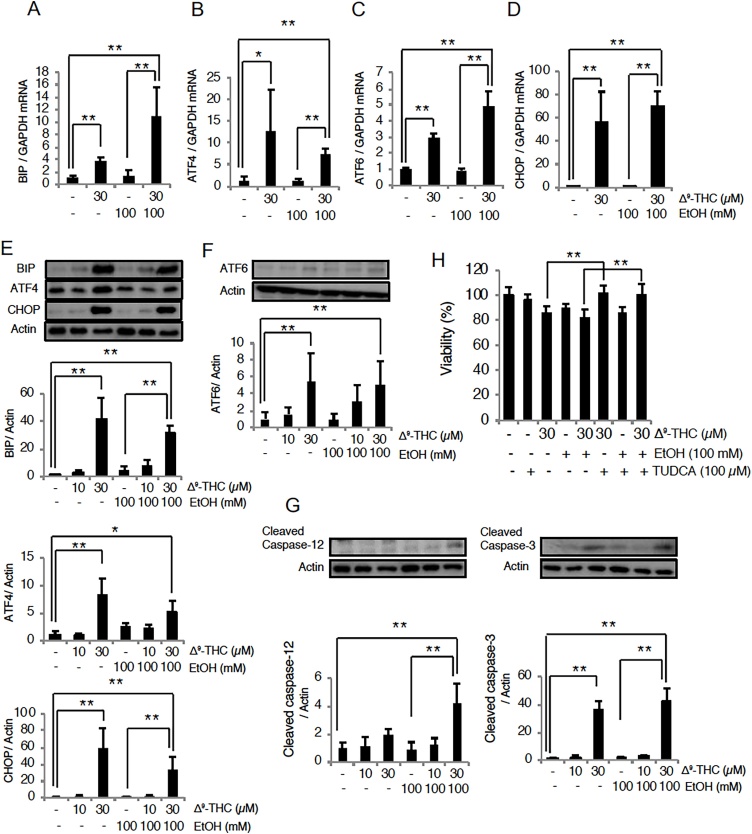 PMC8131391 – fig0010