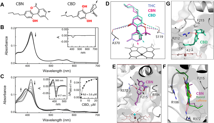 PMC12538432 – fig2