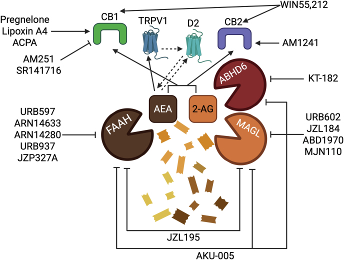 PMC12996789 – fig2