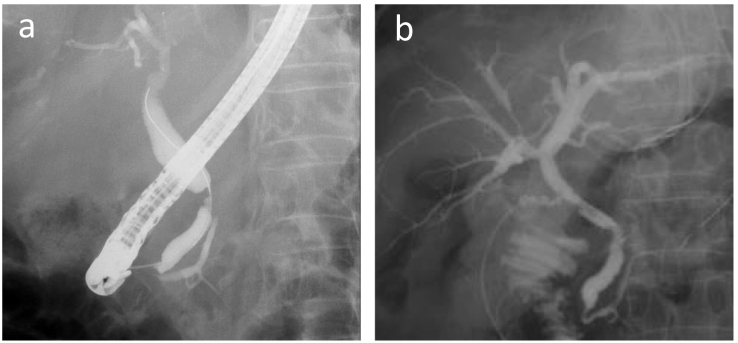 PMC8850749 – f0010