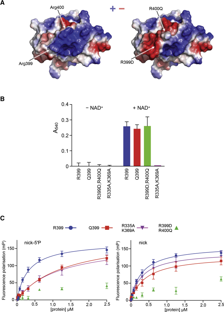 PMC6334254 – fig3