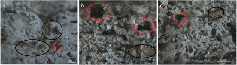 PMC10900766 – fig3