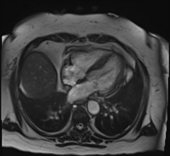 PMC12441497 – fig3