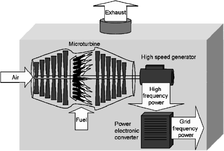 PMC11567127 – fig3