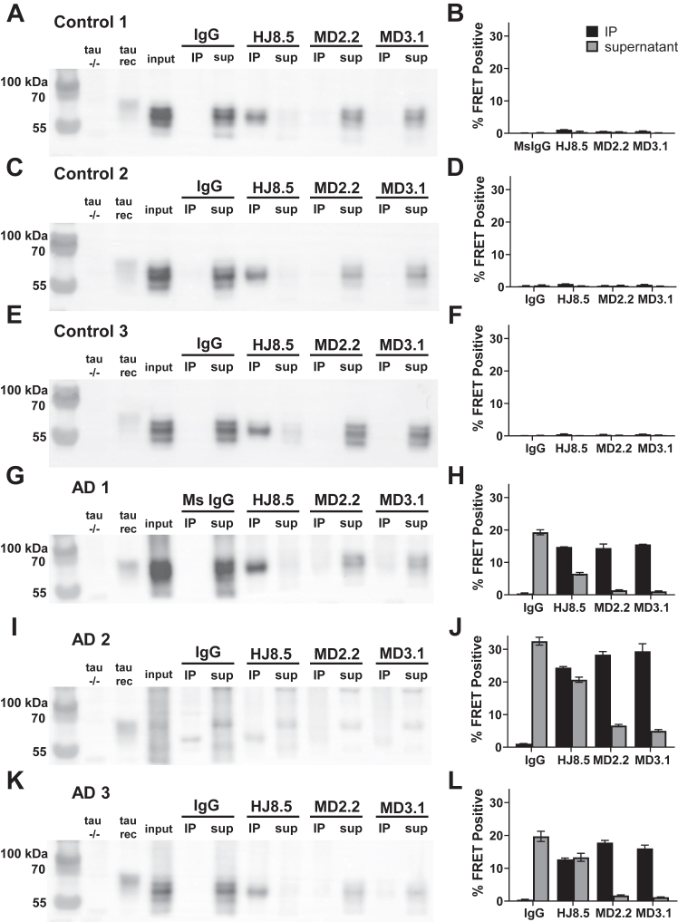 PMC10582770 – fig3