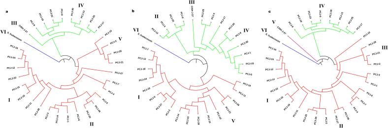 PMC11875165 – f0015