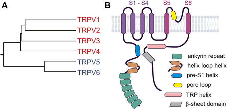 PMC12799467 – fig3