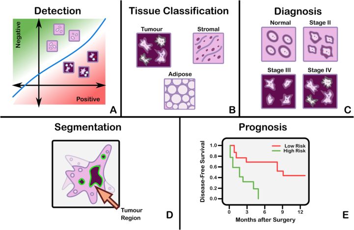 PMC10900832 – f0015