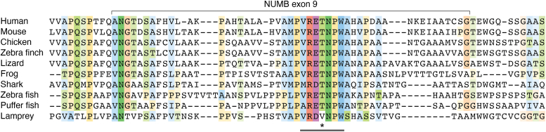 PMC11889595 – fig3