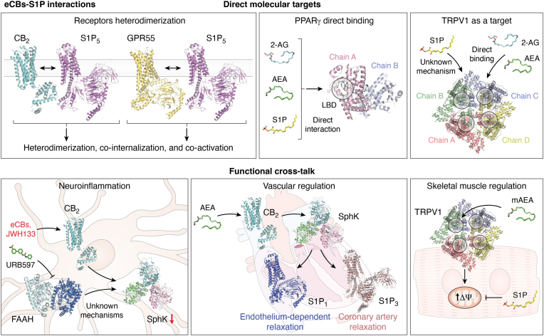 PMC12597274 – fig3