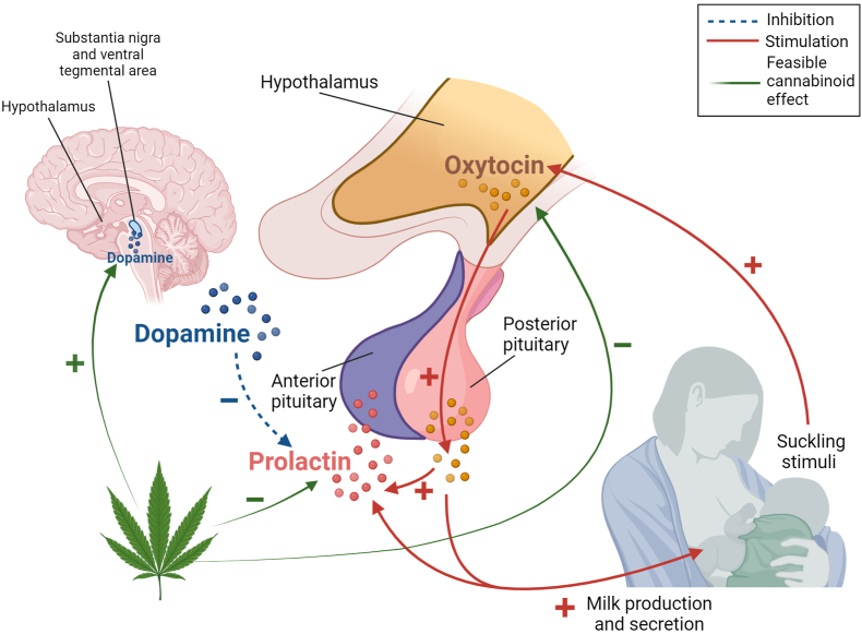 PMC10997876 – fig3